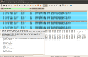 dnscat.issue.hex.pcap